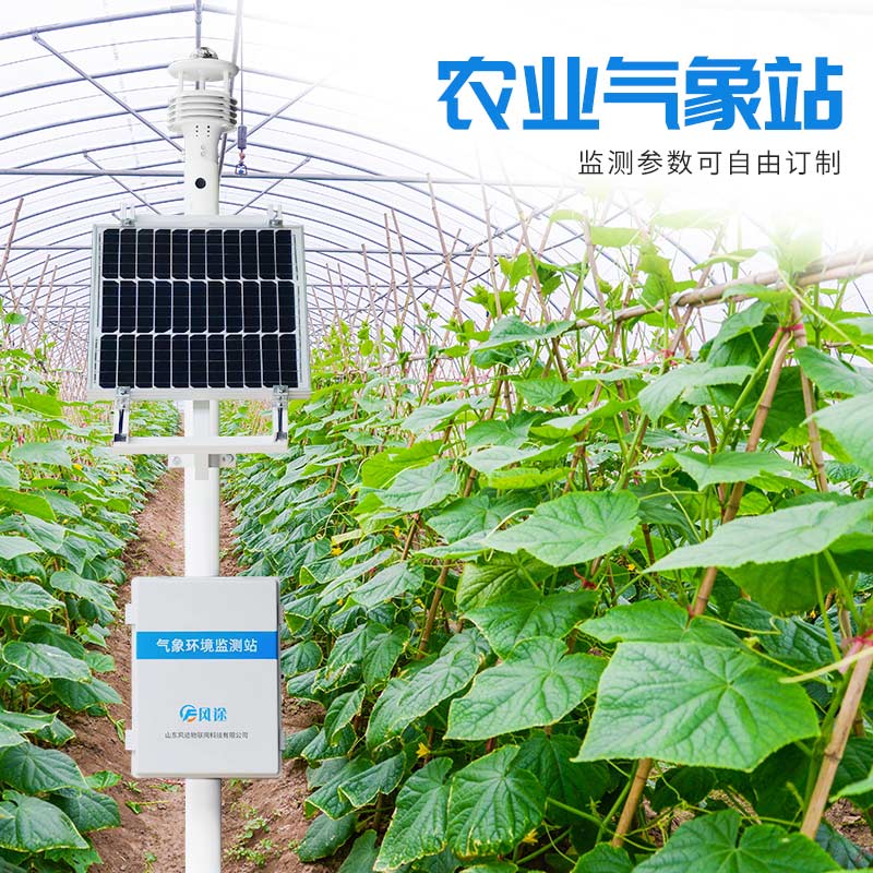 溫室栽培花卉，用農(nóng)業(yè)氣象站調(diào)控小氣候