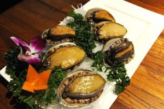 鮑魚，正在走向大眾的餐桌